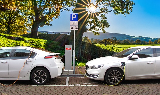 electric vehicle sales