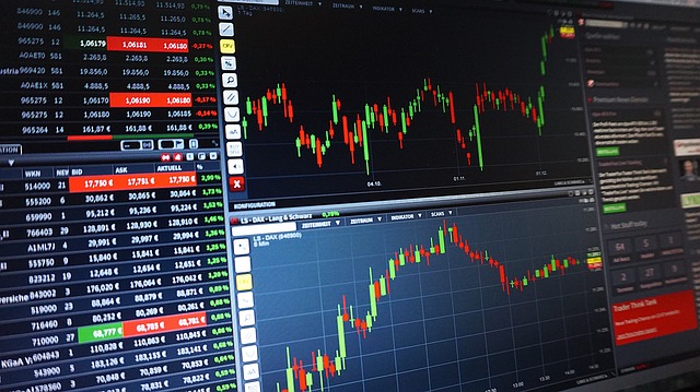 Australian Stock Market